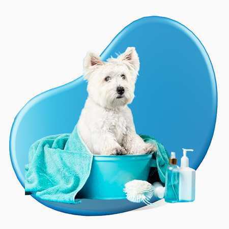 Higiene - Best Pets Web