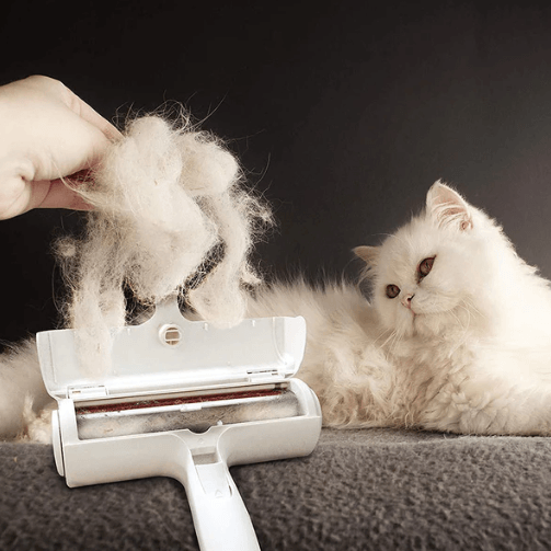 Removedor de Pelos RoolerClear™ | Para Gato e Cachorro - Best Pets Web