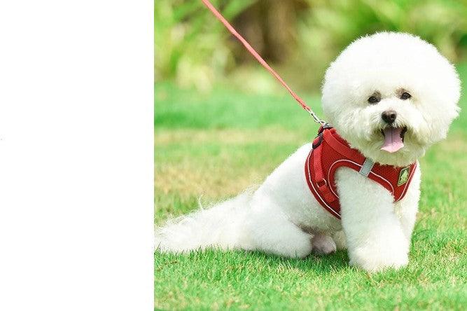 Peitoral para cachorros Luxe Plus - Best Pets Web